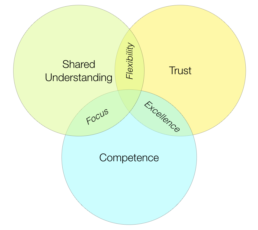 The three elements of autonomous teams: competence, shared understanding, and trust